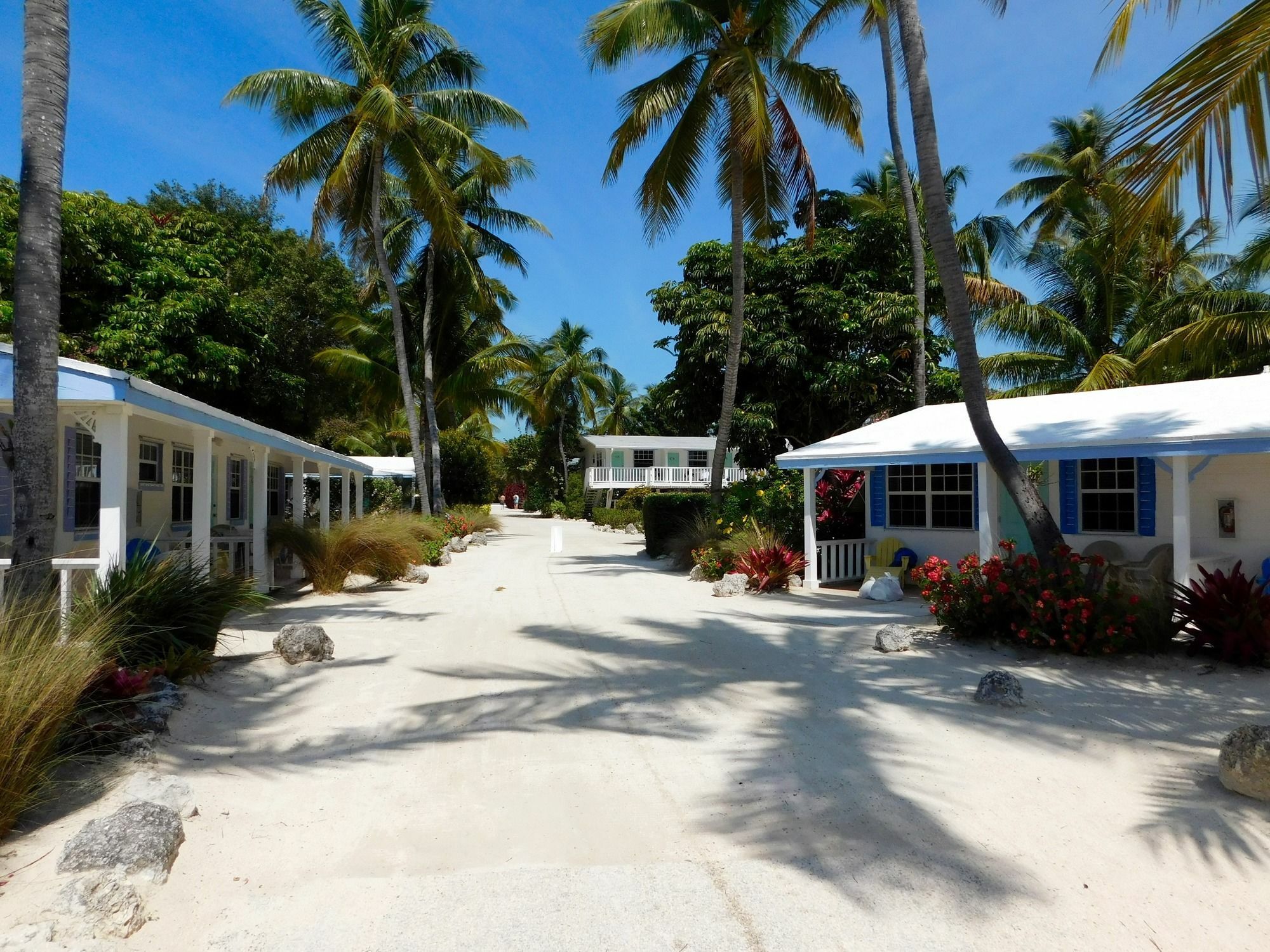 Pines & Palms Resort Islamorada Exterior foto